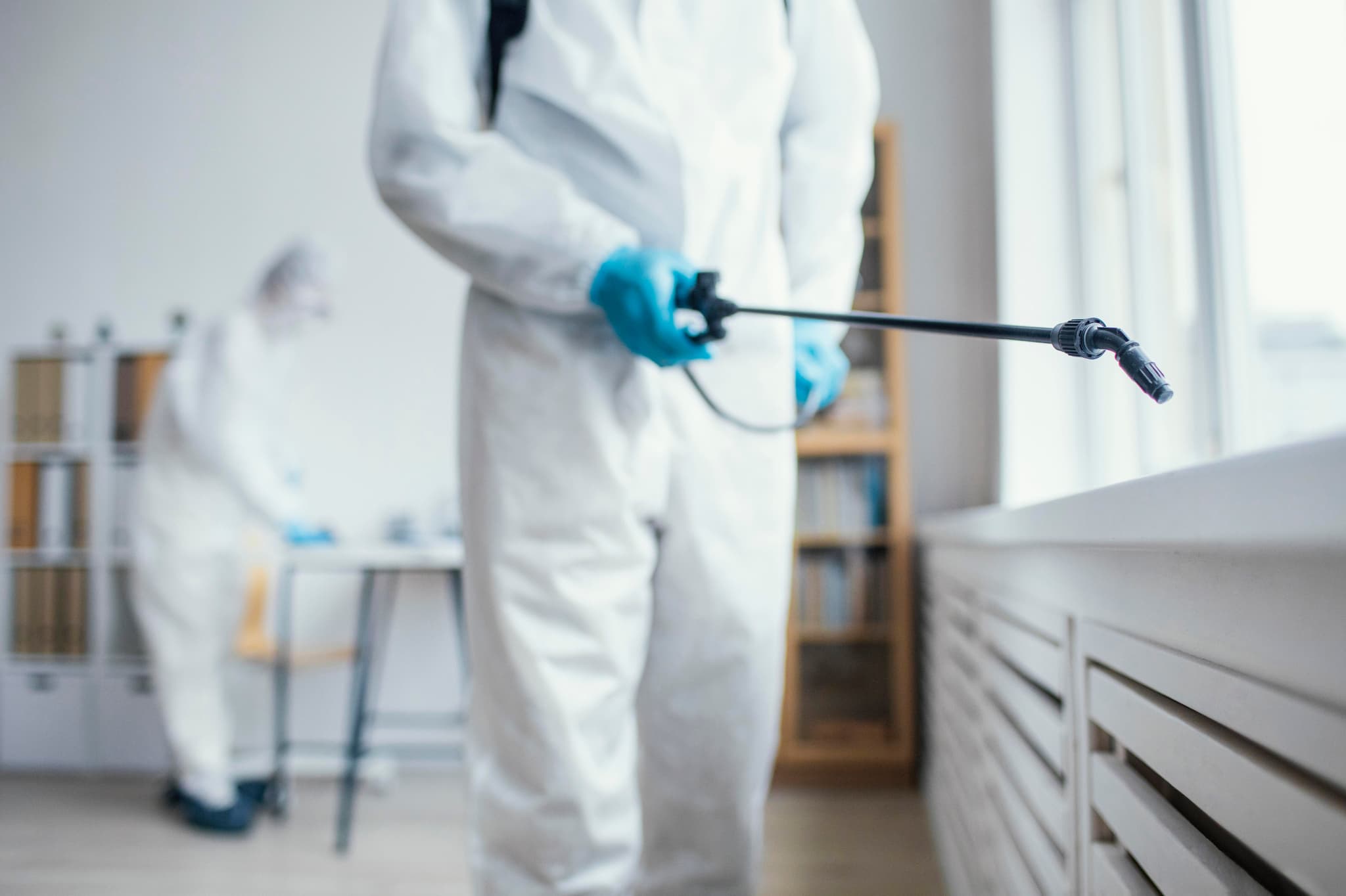 Ant Extermination Procedure