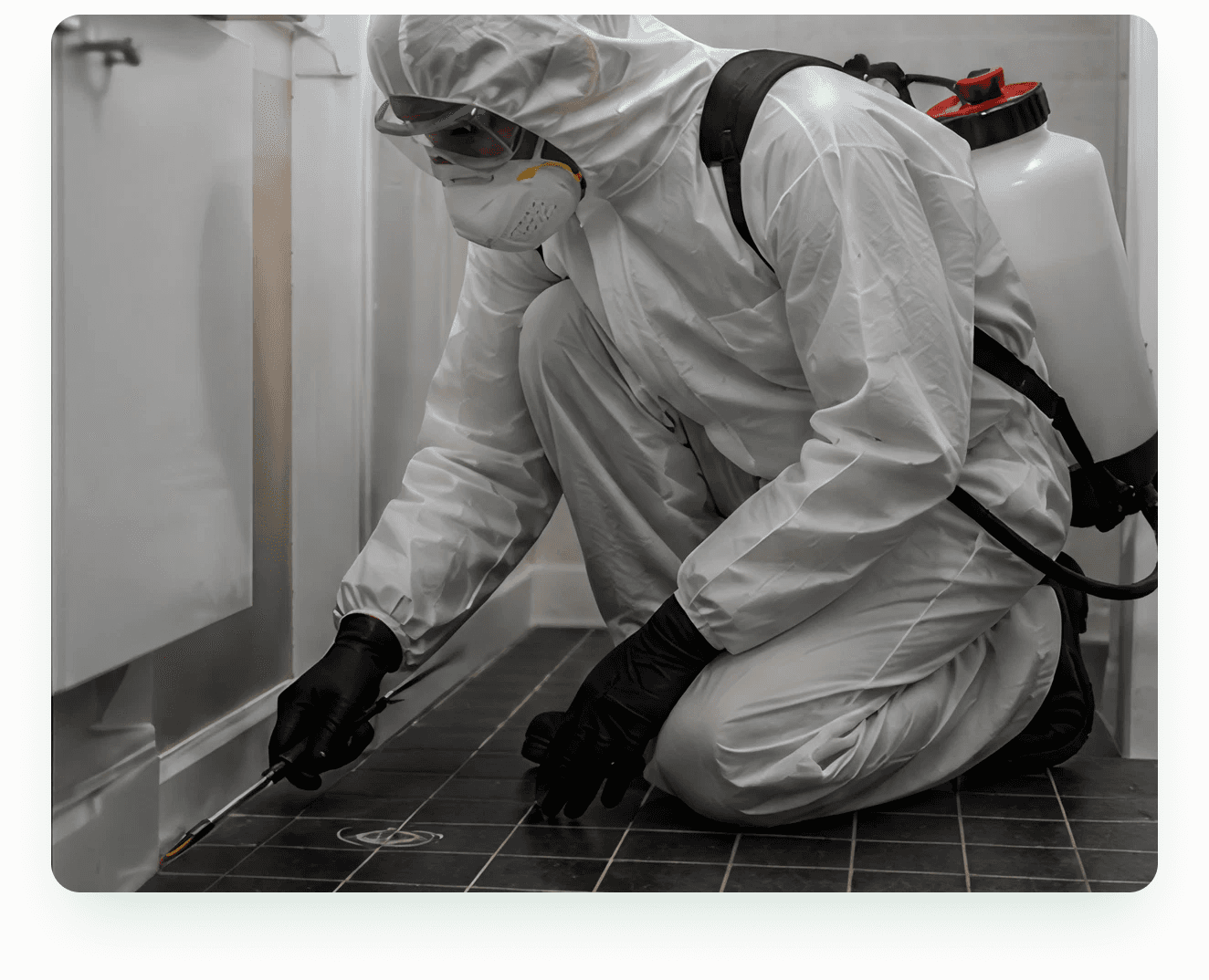 T47 Pest Control technician providing professional silverfish control in Melbourne