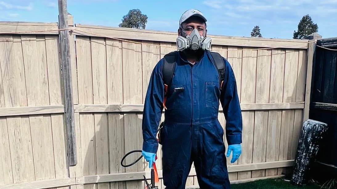 Detailed visual termite assessment