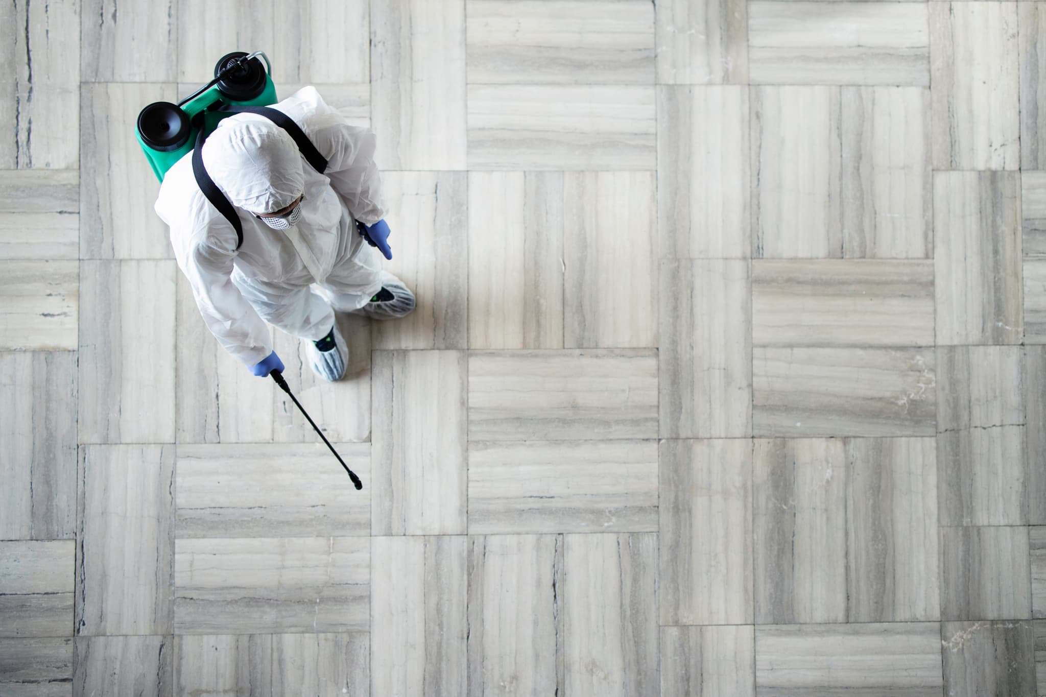 Warehouse Pest Control Process