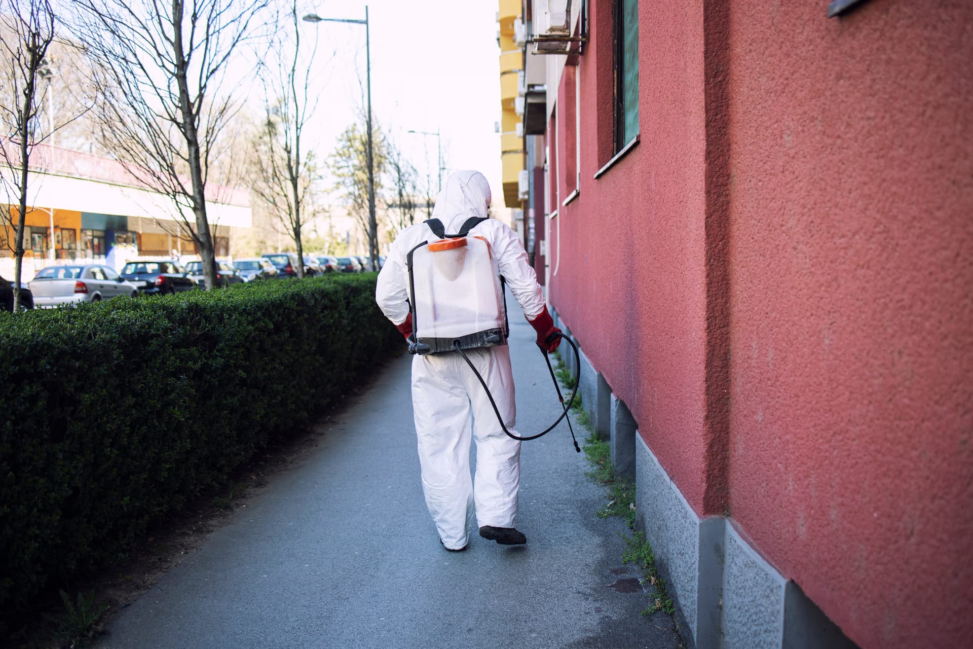Annual Termite Inspection