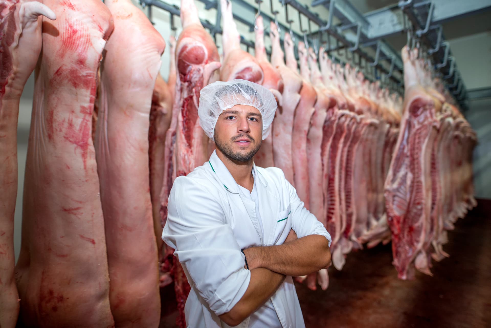 Food Processing Pest Control Services