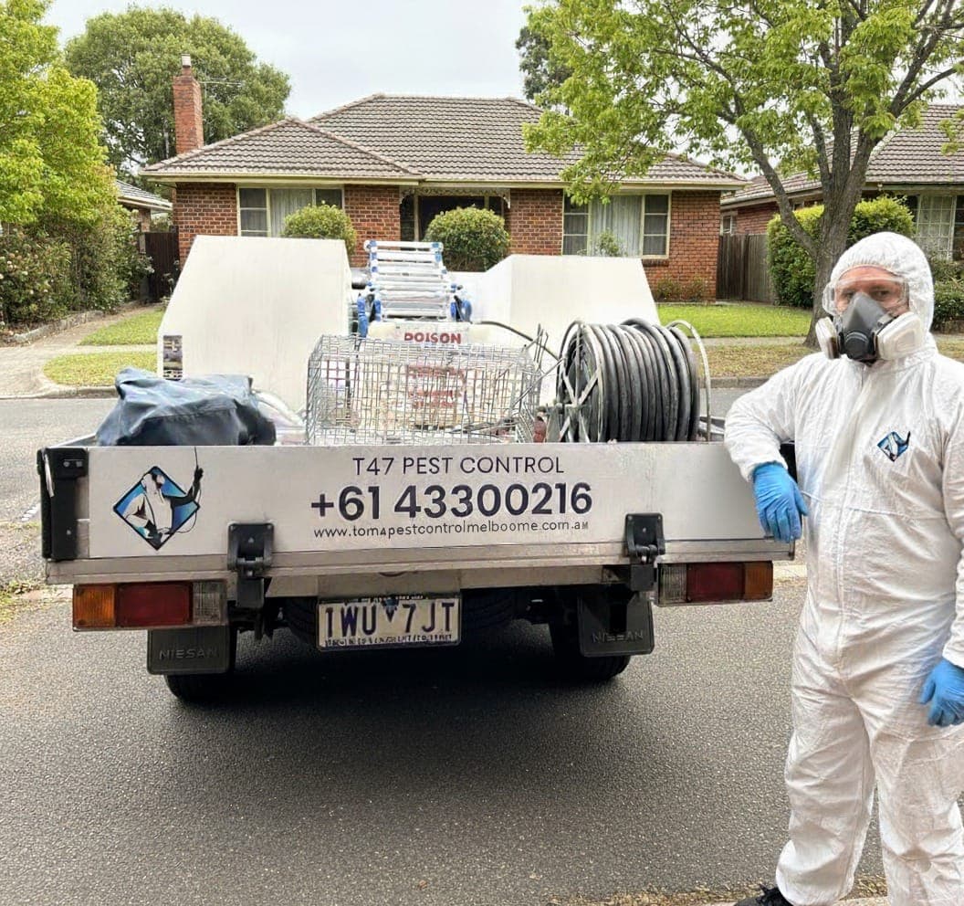 Home Termite Inspection