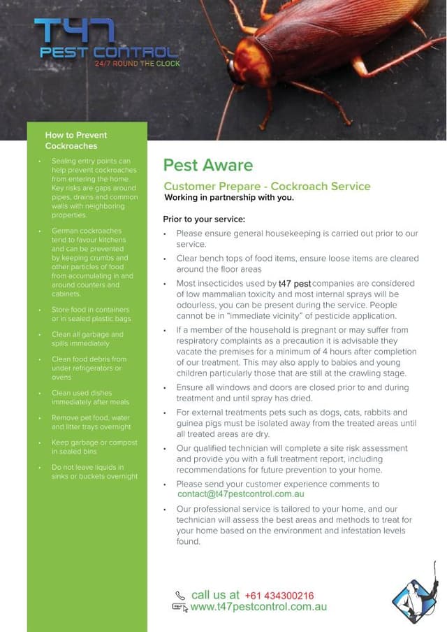 Preview of Cockroach Services