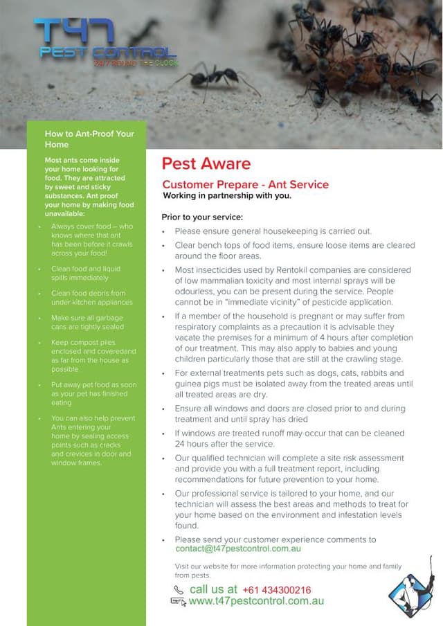 Preview of Ant Services