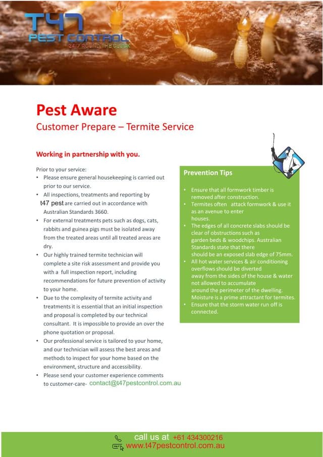 Preview of Termite Services