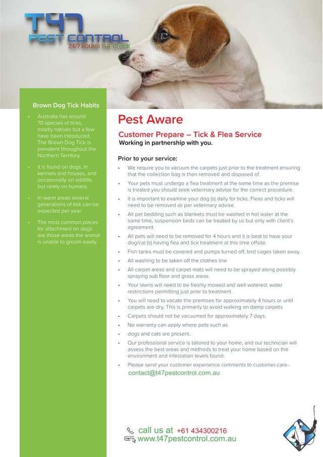 Preview of Tick & Flea Services