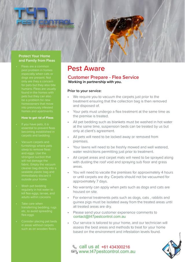 Preview of Flea Services