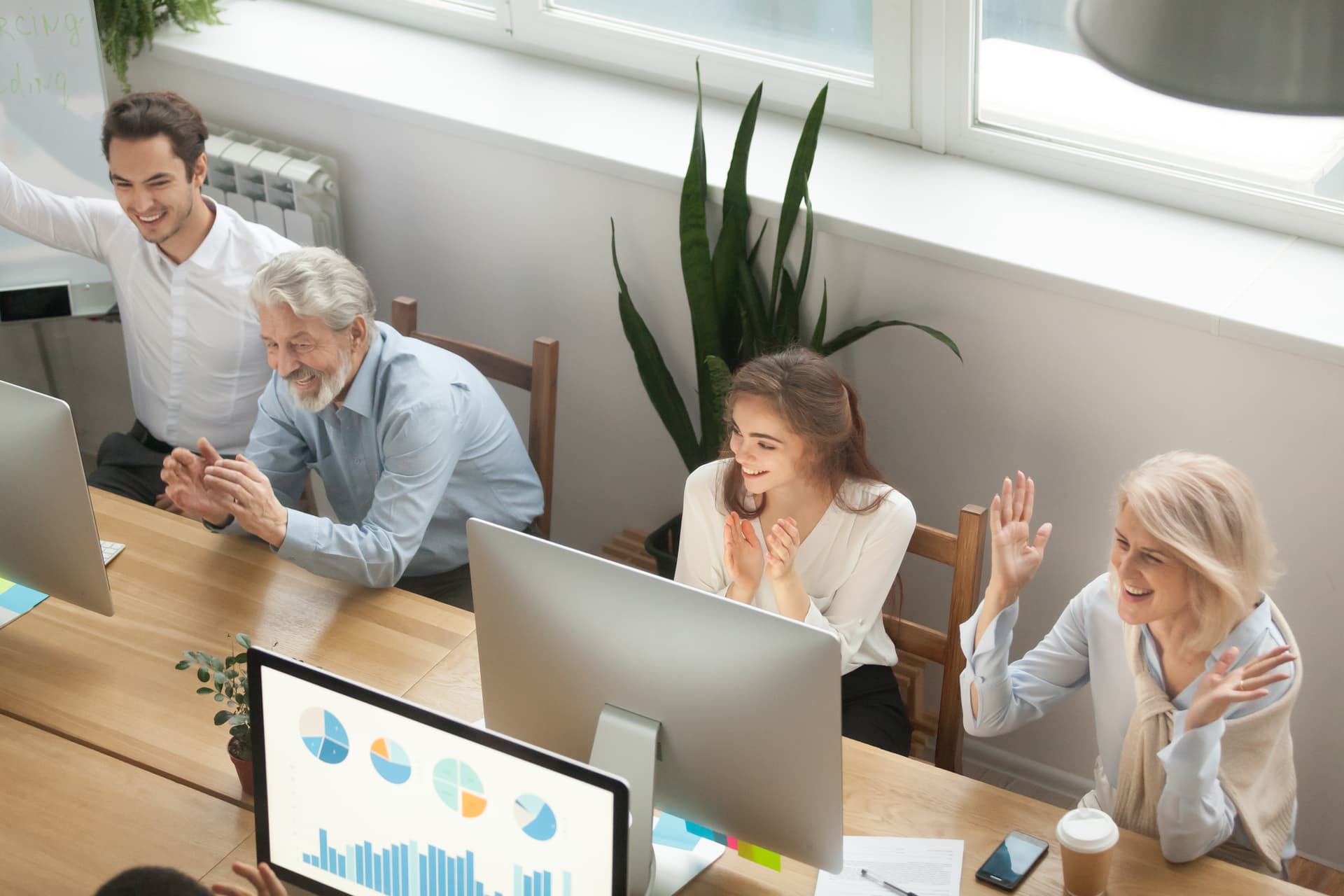 Office Pest Control Process
