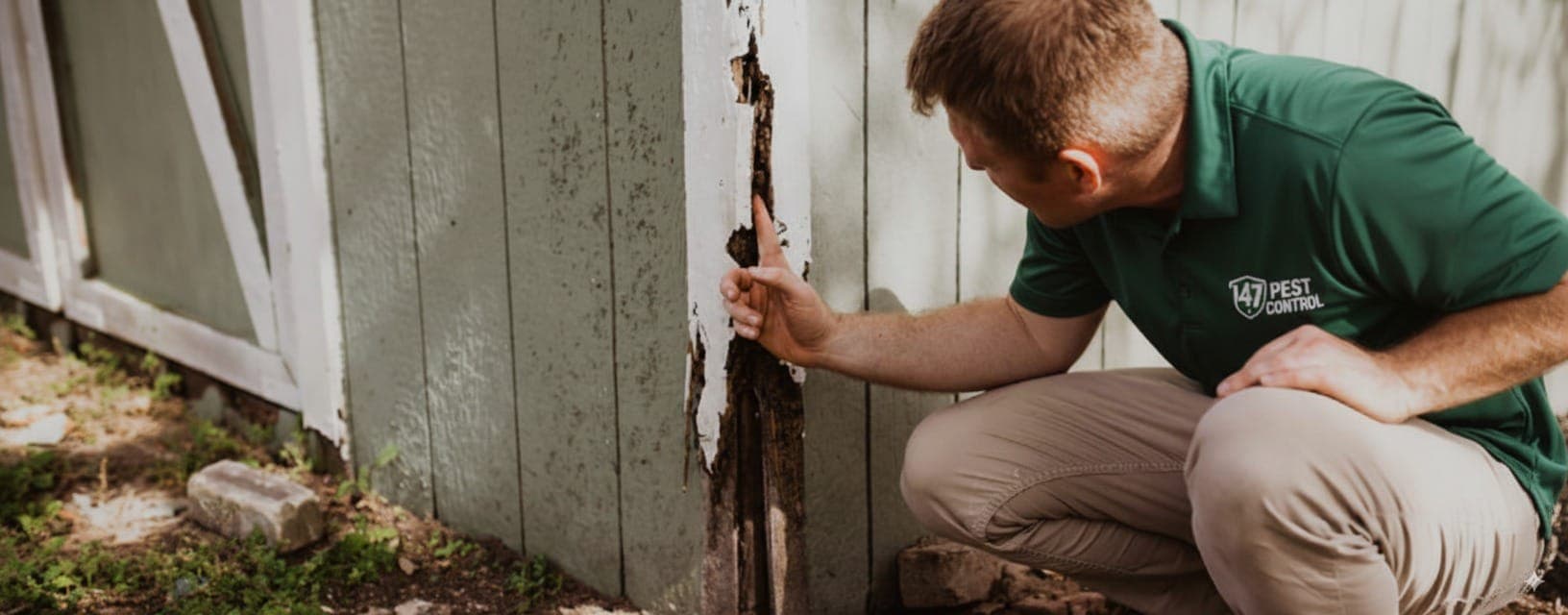 Pre-Purchase Termite Inspection