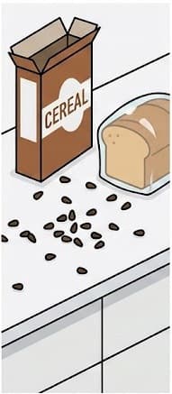 Droppings near food sources or in hidden areas