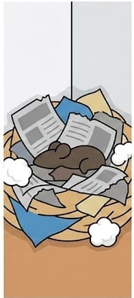 Nesting materials like shredded paper or fabric